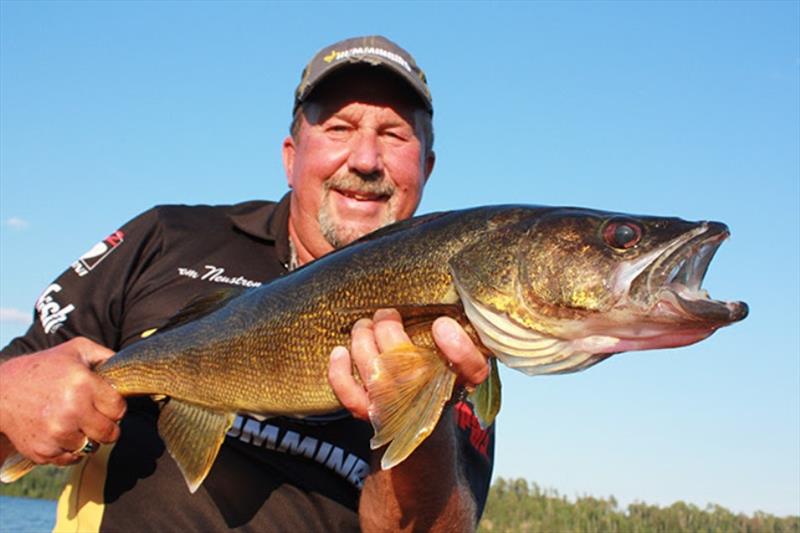 The biggest threat to Northwoods walleyes? Tom Neustrom - photo © Northland Fishing Tackle
