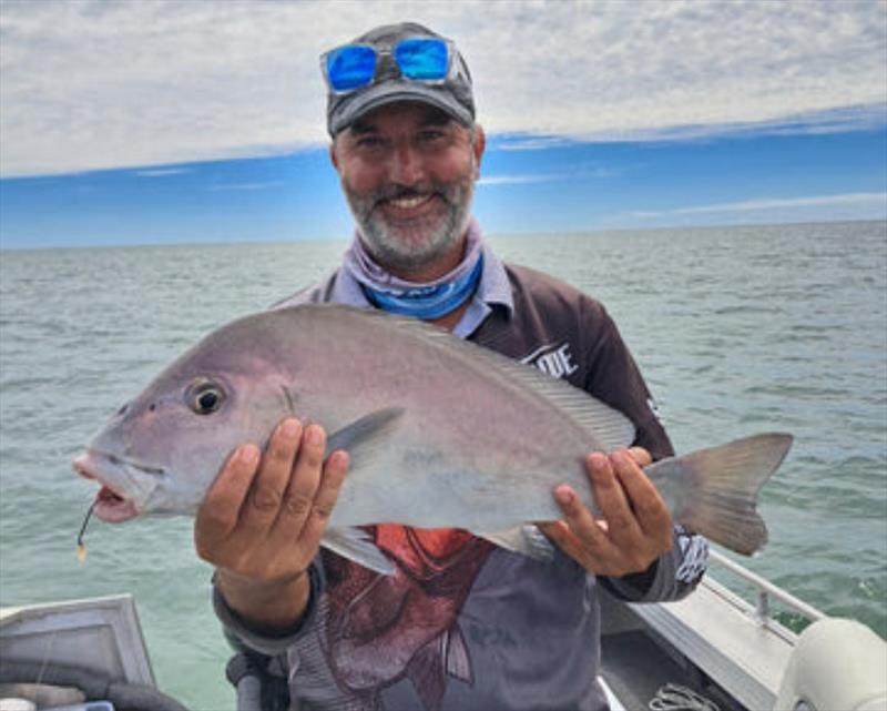 Catching blackall whilst targeting grunter and sweeties is quite common. Here's Tony with a scrappy model from close inshore - photo © Fisho's Tackle World