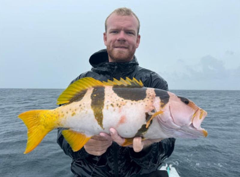 Now that's a good-looking fish. Andrew scored this beaut chinese footballer on the Fisho's Swains Reef Trip aboard Big Cat Reality photo copyright Fisho's Tackle World taken at  and featuring the Fishing boat class