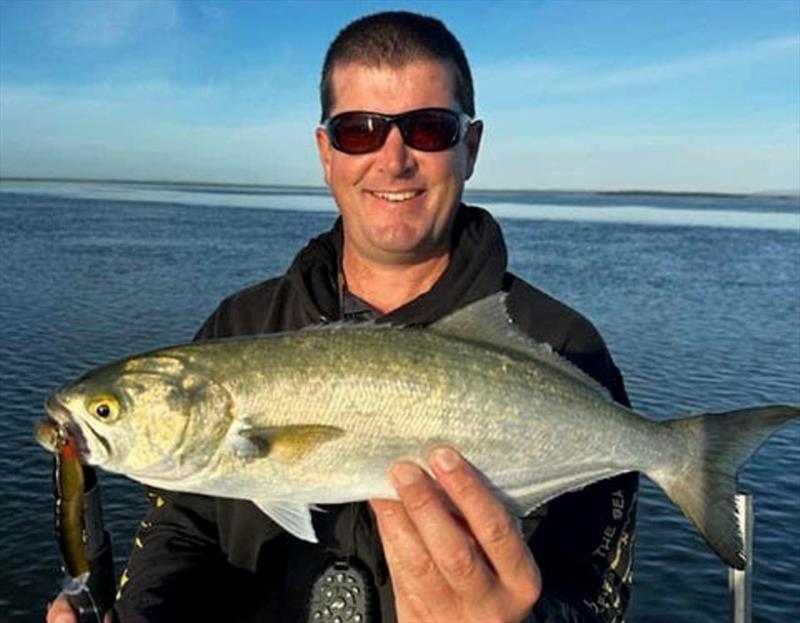 As the water temps start to cool off expect to find schools of chopper tailor terrorising the bait schools. They are suckers for topwater lures - photo © Fisho's Tackle World