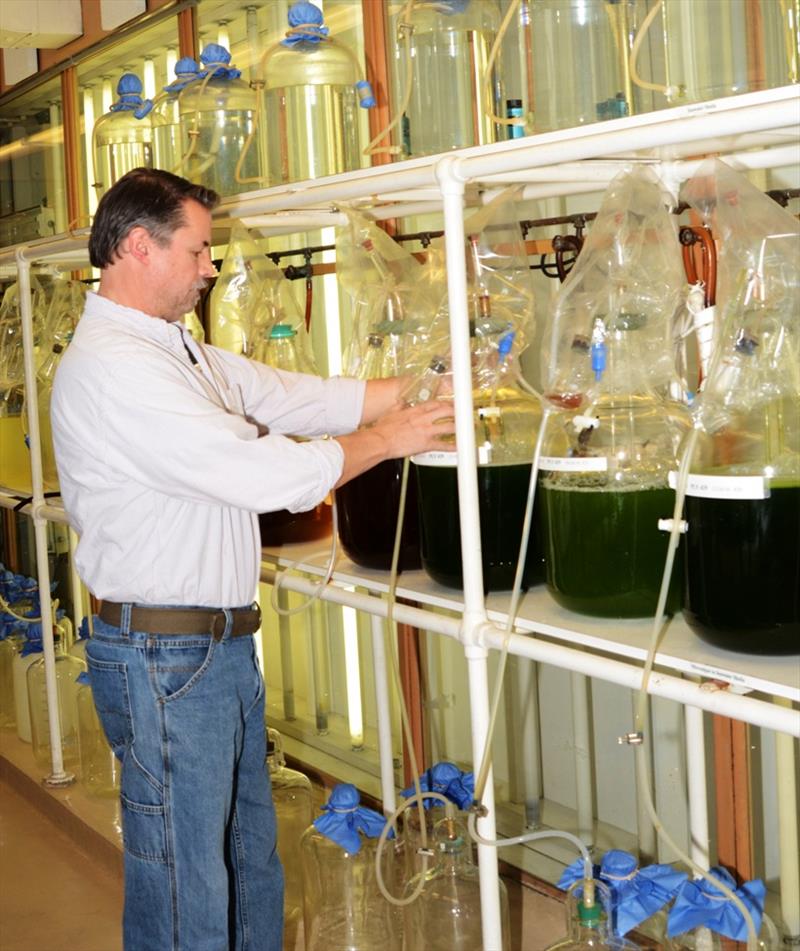 Mark Dixon monitors the carboy-scale culture in the Mass Culture Room photo copyright NOAA Fisheries / Shannon Meseck, NEFSC taken at  and featuring the Cruising Yacht class