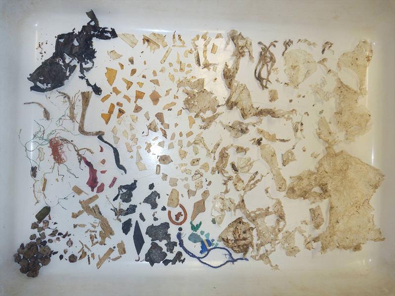 Over 100 plastic items recovered from one  green sea turtle. Items included plastic bags, hard  plastic fragments, balloons, lolly wrappers, and pieces of rope. When the load gets this high, the probability of death reaches 100 per cent.  - photo © Kathy Townsend