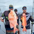 Mustad Staggerbod jigs in 150 and 200gm were standouts. Here's Nick and Dane with the evidence