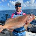 Zerek Live Shrimps and heavy jig heads are must-take lures for any coral sea adventure