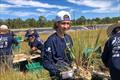 OysterCorps members planting marsh grasses