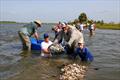 Volunteers build an oyster reef from recycled oyster shells