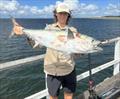 Max hauled this solid mack tuna over the Urangan Pier rails this week. Action aplenty most days of late