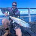 Kody Ezzy headed for the deep end of the Urangan Pier and caught this fine longtail tuna. It won't be the last tuna caught out there this week