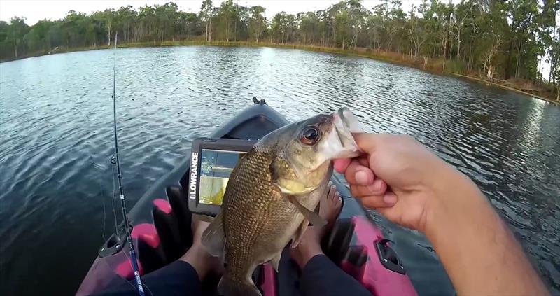 Australian Bass with Lowrance Hook2 photo copyright Lowrance taken at  and featuring the Fishing boat class