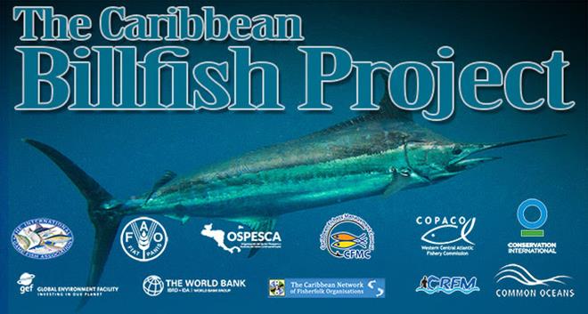Protecting Caribbean Billfish stocks photo copyright International Game Fish Association taken at  and featuring the Fishing boat class