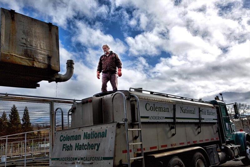 Preparing the tanker truck at Coleman National Fish Hatchery - photo © Steve Martarano, USFWS