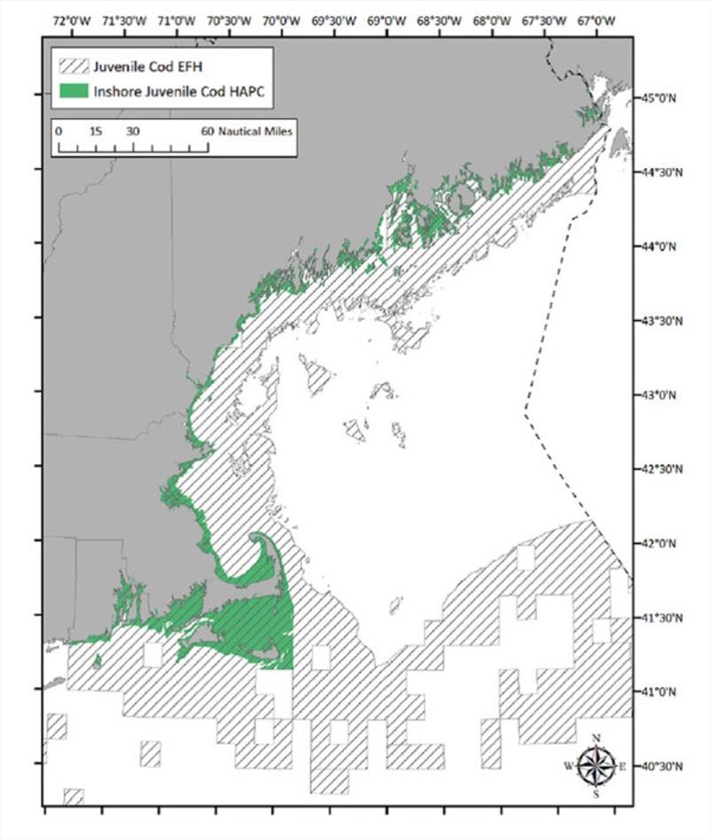 Inshore juvenile Atlantic cod Habitat Area of Particular Concern photo copyright NOAA Fisheries taken at  and featuring the Fishing boat class