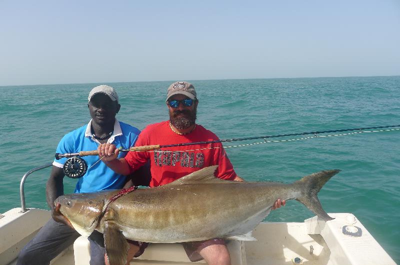 French angler Anthony Guenec potentially set the new men's 10 kg tippet class world record for cobia with this massive 42-kilogram fish that he caught on March 5, 2018 while fly fishing off the Bijagos Islands in Guinea Bissau photo copyright IGFA taken at  and featuring the Fishing boat class