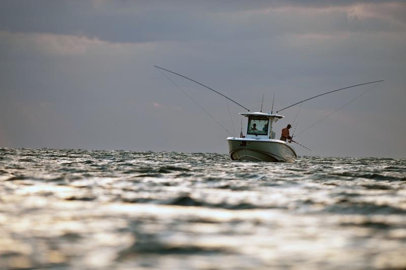 The time is now for saltwater anglers to speak up to senators on the Modern Fish Act photo copyright BoatUS taken at  and featuring the Fishing boat class