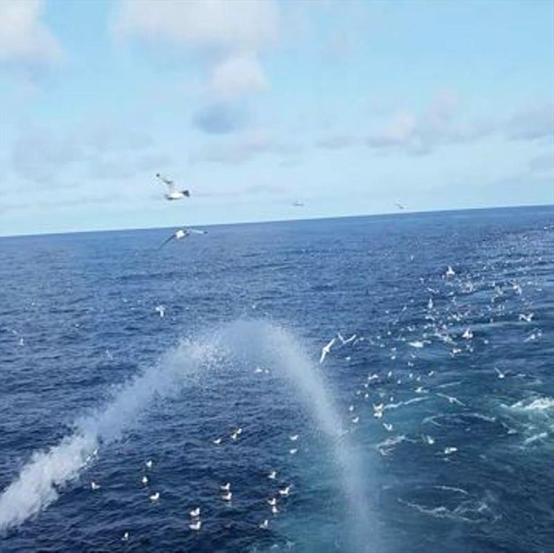 When the water deterrent is engaged, both flying and resting birds maintain a safer distance from the trawl warp photo copyright Denney Amundson / Trident Seafoods taken at  and featuring the Fishing boat class