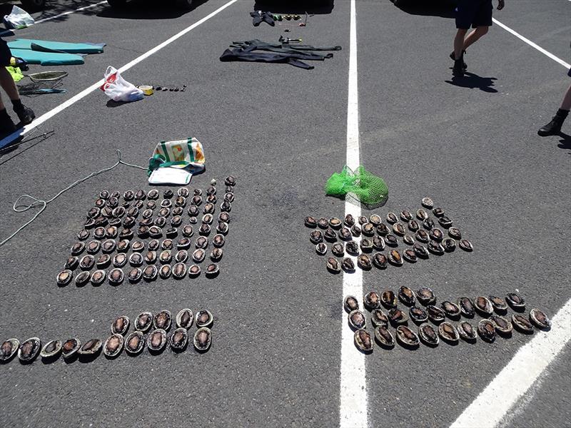 Men caught with 11 times abalone limit photo copyright Justine Severin taken at  and featuring the Fishing boat class