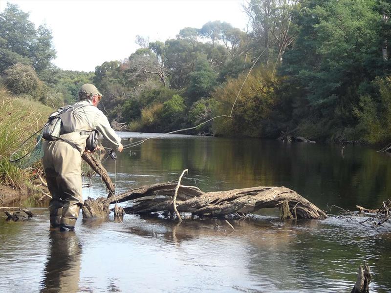 Damien Hickey Meander River photo copyright Courtesy of Inland Fisheries Service taken at  and featuring the Fishing boat class