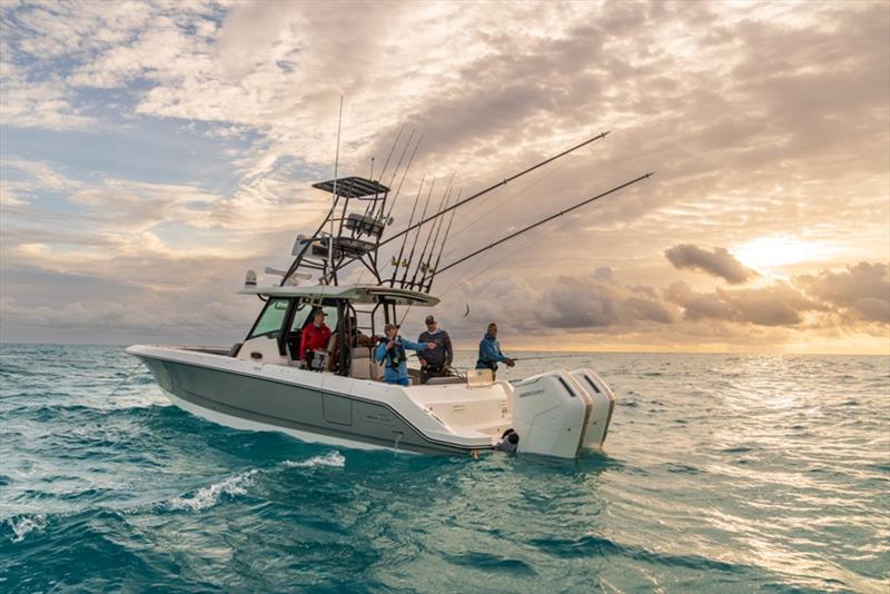 Whaler 360 Outrage - photo © Richard Steinberger Photography