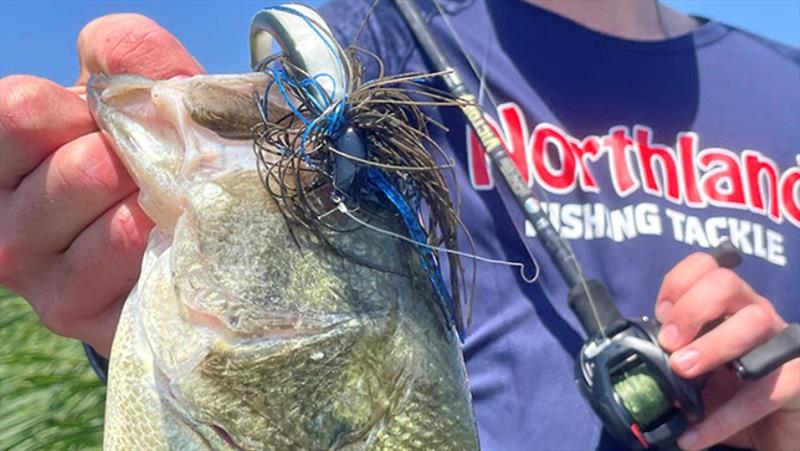 Bass bait with an elite status photo copyright Northland Fishing Tackle taken at  and featuring the Fishing boat class