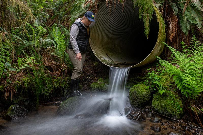 Culvert on the Dickey River - photo © Ronald Hope / Wild Salmon Center