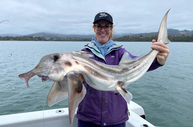 Helen with a big elephant caught on squid from NW Bay- 6/0 Black Magic KLT circle hook - photo © Spot On Fishing Hobart