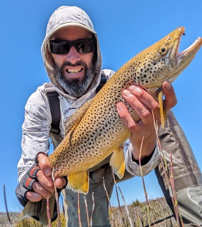 A lovely brownie taken on a black hopper in a relatively unknown water in the Chudleigh area. 1 of 3 about that size - photo © Spot On Fishing Hobart