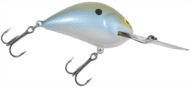Blue Olive Shad photo copyright Northland Fishing Tackle taken at  and featuring the Fishing boat class