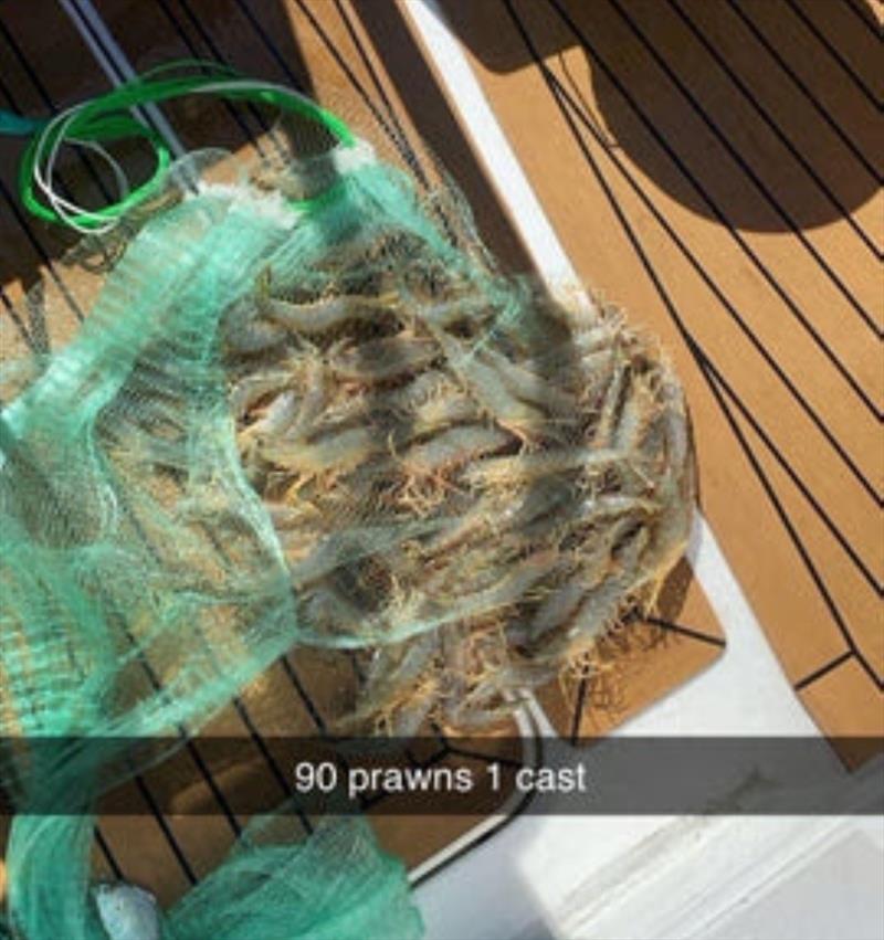 The caption says it all. Woodgate prawn are thick when they are on and it takes no time at all to score your quota photo copyright Fisho's Tackle World taken at  and featuring the Fishing boat class