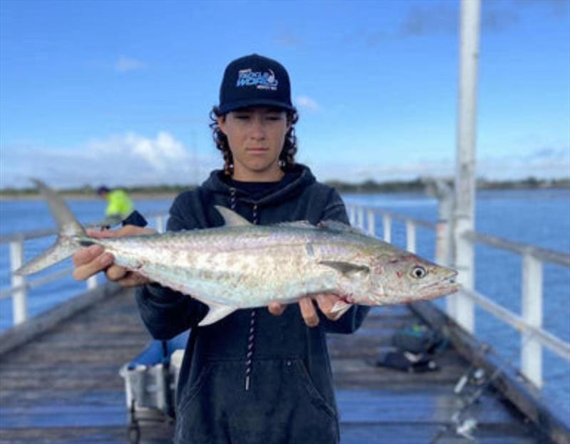Max with an Urangan Pier mackerel. It has been a hectic week for pier regulars with lots of pelagics, a few estuary species, plus sharks at night - photo © Fisho's Tackle World