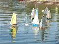 2014 Cadenhead Trophy for Footys at Southwater Lake © Roger Stollery