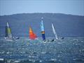 Palm Beach Sailing Club's annual 'Beware The Bullets' Regatta - Dhaawarri, trucking upwind with the future of our class in control © Dick Clarke