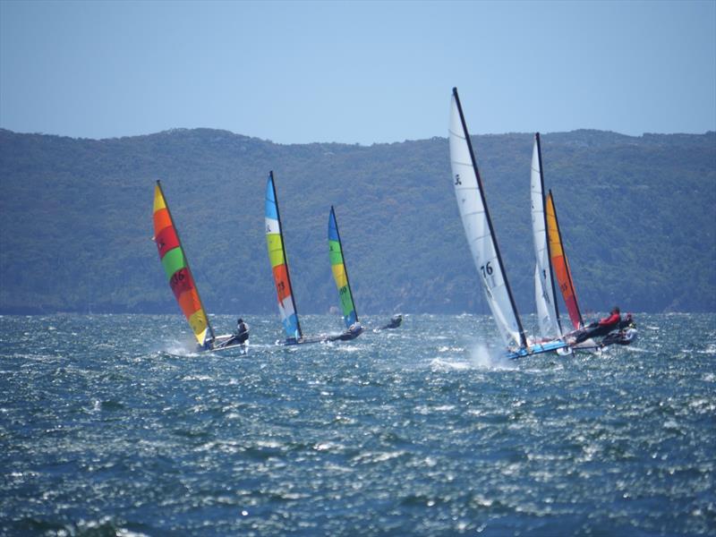 Palm Beach Sailing Club's annual 'Beware The Bullets' Regatta - is it windy or what? photo copyright Dick Clarke taken at Palm Beach Sailing Club, Sydney and featuring the Hobie 16 class