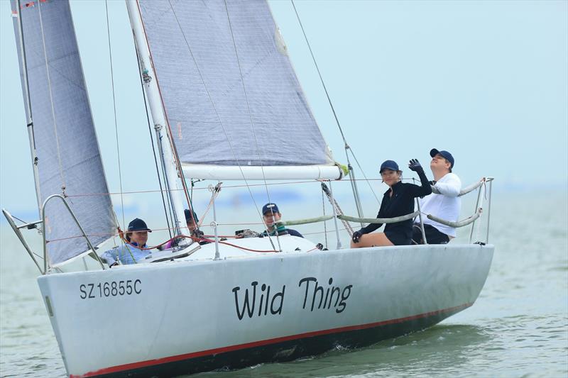 PY fleet champions Wild Thing winding down after a race photo copyright Howie Choo taken at  and featuring the IRC class