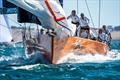 Secret Mens Business took out Division 1 - 2023 Australian Yachting Championships © Alex Dare