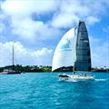 Bermuda 1-2 Yacht Race © Peter Gustafsson