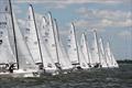 Sixteen classes of sailboats will be represented at Charleston Race Week 2024 at Patriots Point. Among them are the popular J/70 Class, VX One and Melges 24 fleets © Priscilla Parker / CRW2023