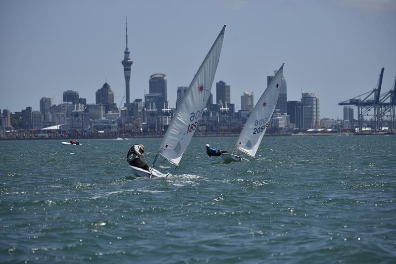Dinghy racing for over 20 classes takes place across the city - Auckland Anniversary Regatta photo copyright Peter Le Scelle taken at  and featuring the ILCA 7 class