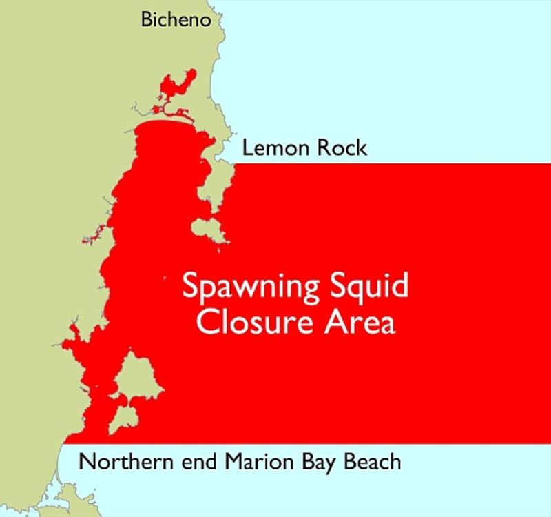 Spawning calamari and squid closures - photo © DPIPWE Fishing