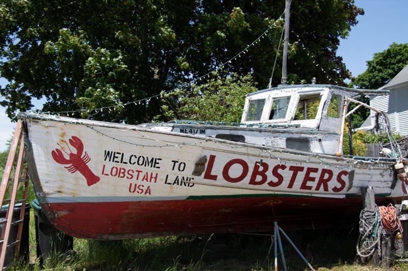 The new Sea Grant regional lobster extension program will amplify the voices of stakeholders and learn from those who have knowledge from living the life of the lobster industry photo copyright Kathlyn Tenga Gonzalez taken at 