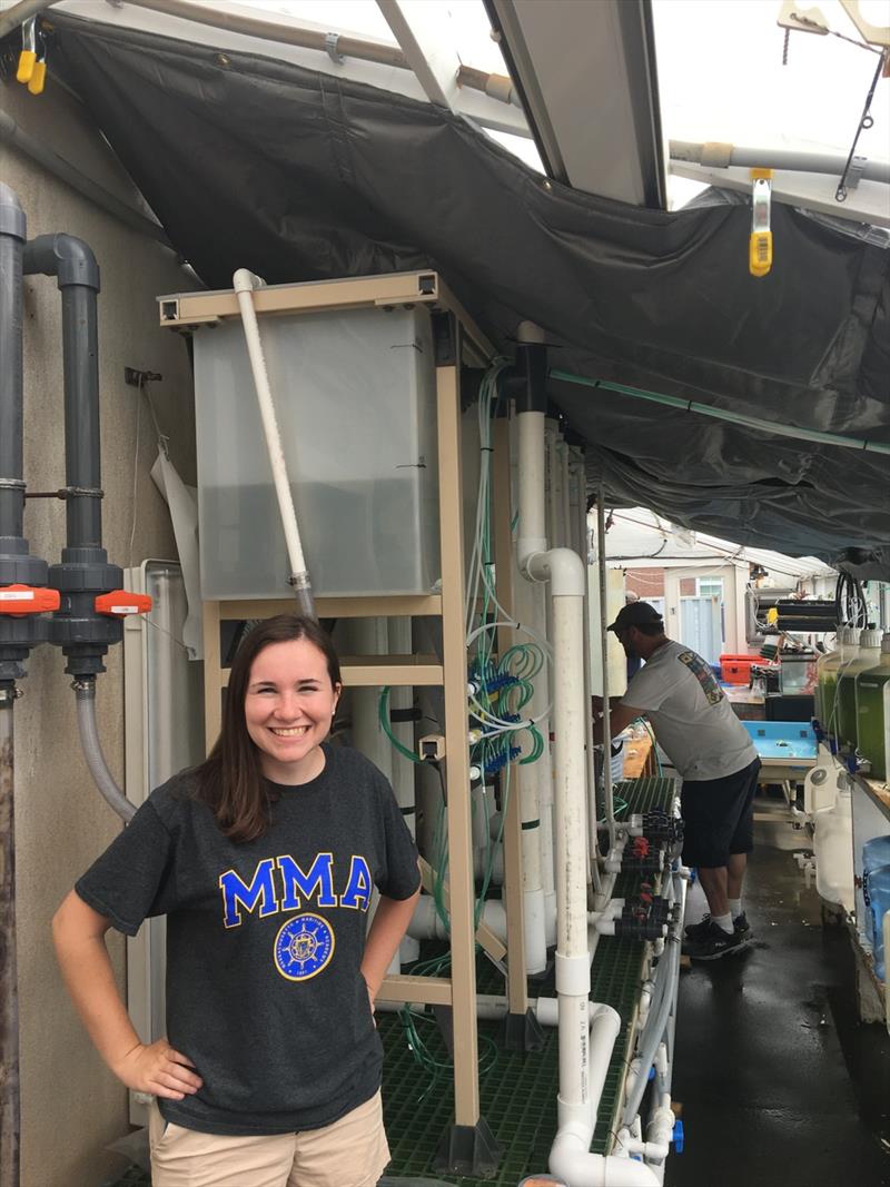 Massachusetts Maritime Academy cadet Heather Gaughan in front of the ocean acidification experimental system. - photo © NOAA Fisheries