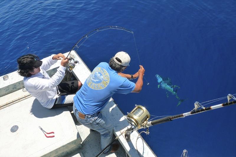 Fishermen working together to reel in a catch photo copyright NOAA Fisheries taken at 