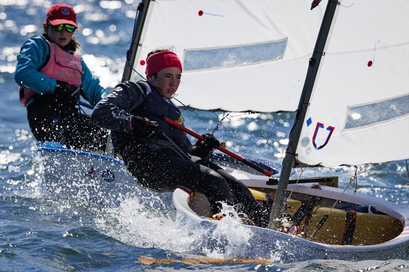 Optimists during the Irish Sailing Youth Nationals 2022 photo copyright David Branigan / Oceansport taken at Ballyholme Yacht Club and featuring the Optimist class