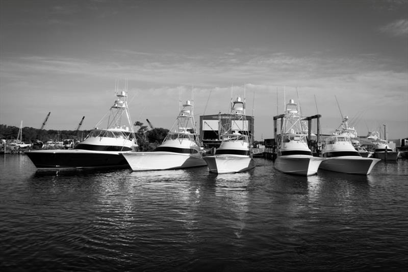 Bayliss yachts pictured, listed left to right: Cane Pole (Bayliss 84') Blank Check (Bayliss 75') Shark Byte (Bayliss 73') Singularis (Bayliss 68') Salty Tiger (Bayliss 62') - photo © Bayliss Boatworks