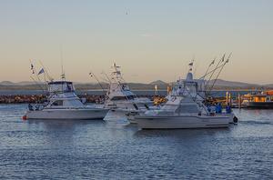 Time to get in and weigh the catch. photo copyright  John Curnow taken at  and featuring the  class