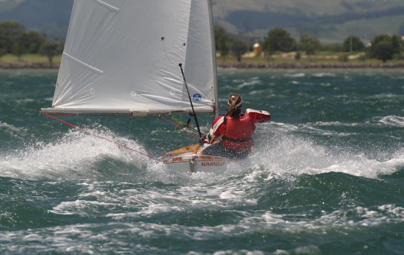 Kelly Barnes sailing #1033 Sensation at the 2005 Tauranga Nationals. A well-named boat for that moment photo copyright Kel Martin taken at  and featuring the Starling class