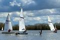 Geese annoyed at Streaker Southern Paddle Series at Tamworth, sponsored by North Sails © Karl Haines