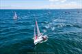 2024 Tasar World Championships at Sandringham Yacht Club: Harrison and Zara perfect trim and in control © Beau Outteridge