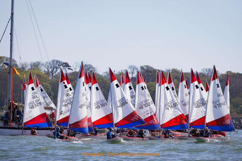 Toppers in the start sequence during the Irish Sailing Youth Nationals 2022 photo copyright David Branigan / Oceansport taken at Ballyholme Yacht Club and featuring the Topper class