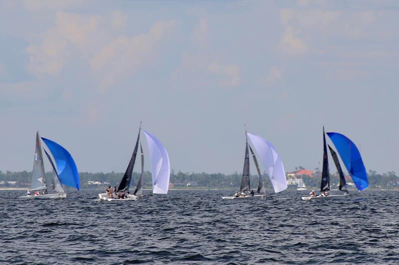 Racecourse action at the Candler Regatta photo copyright Candler Regatta taken at St. Andrews Bay Yacht Club and featuring the Viper 640 class
